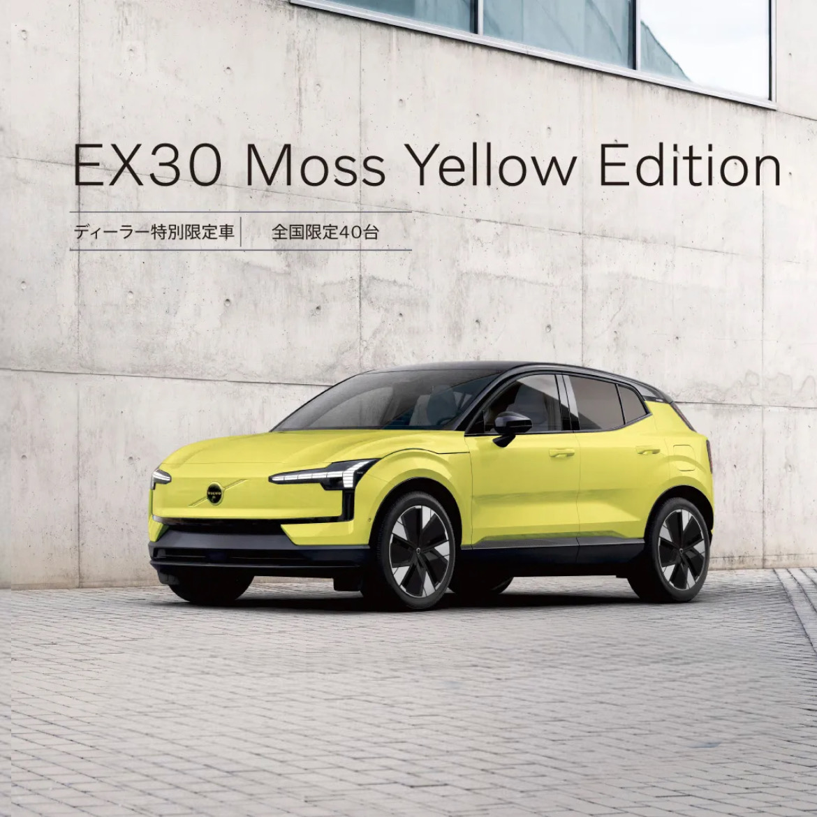 特別限定車 EX30 Moss Yellow Editionのご案内 | ボルボ・カー 千種